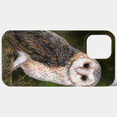 Coques Case-Mate iPhone Chouette de l'Ouest - Peinture  (Verso (horizontal))