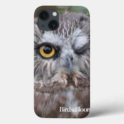 Coques Case-Mate iPhone Chouette de Saw-whet (Verso)