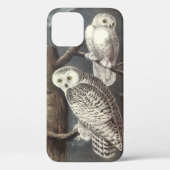Coques Case-Mate iPhone Chouette des neiges par Audubon (Verso)