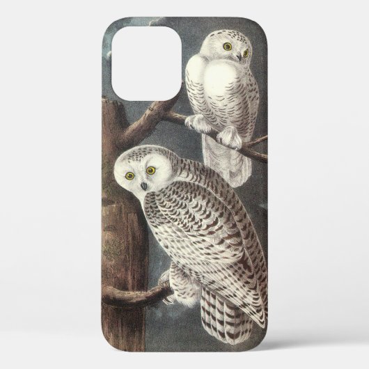 Coques Case-Mate iPhone Chouette des neiges par Audubon (Verso)