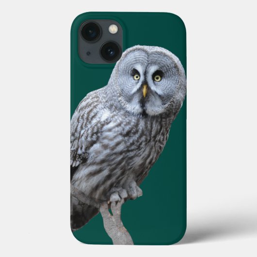 Coques Case-Mate iPhone Chouette grise (Verso)