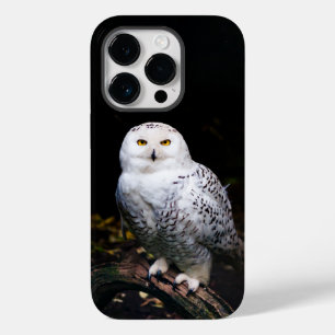 Coque Pour iPhone 14 Pro Chouette hivernale majestueuse