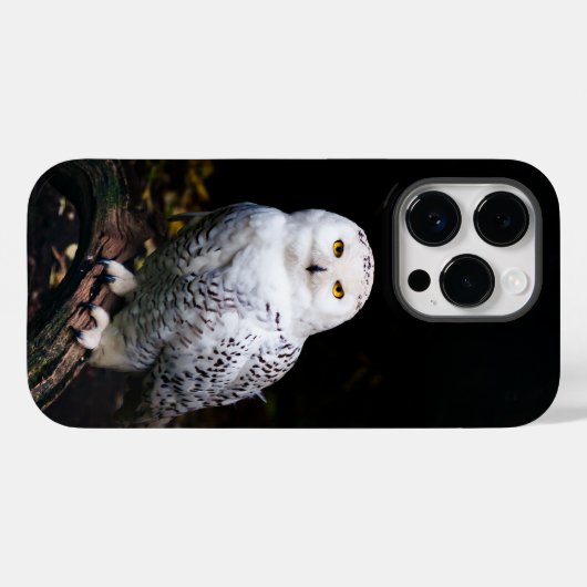 Coques Case-Mate iPhone Chouette hivernale majestueuse (Verso (horizontal))