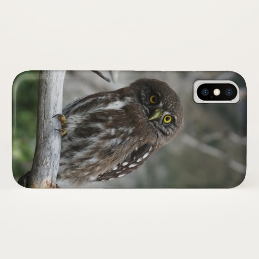 Coques Case-Mate iPhone Chouette pygmée du Nord (Dos (Horizontal))