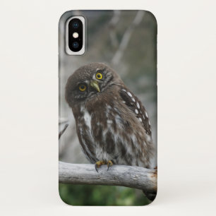 Case-Mate iPhone Case Chouette pygmée du Nord