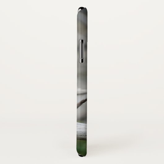 Coques Case-Mate iPhone Chouette pygmée du Nord (Dos/Droite)