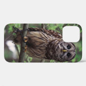 Coques Case-Mate iPhone Chouette rayée (Verso (horizontal))