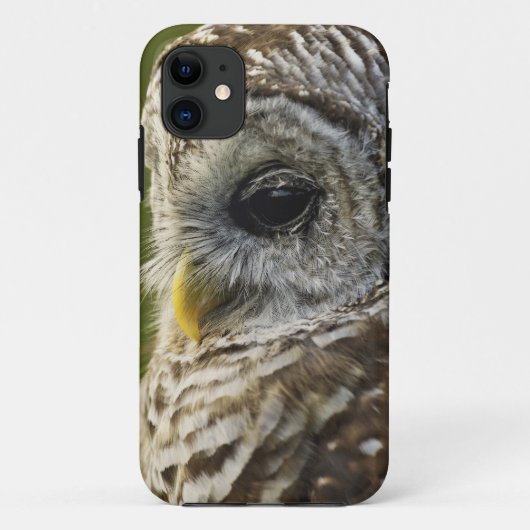 Coques Case-Mate iPhone Chouette rayée, Strix varia, Michigan (Dos)