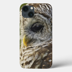 Etui iPhone Case-Mate Chouette rayée, Strix varia, Michigan