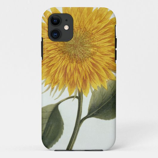 Coques Case-Mate iPhone Chrysanthème Indicum de 'Pythanthoza Iconograph (Dos)