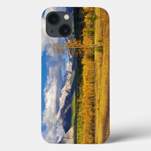 Coques Case-Mate iPhone Ciel bleu et nuages au-dessus d'un pré (Verso)