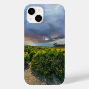 Coque Pour iPhone 14 Ciel dramatique au coucher du soleil à Point Dume