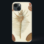 Coques Pour iPhone Cinq d'un coquillage<br><div class="desc">George Wolfgang Knorr est connu pour le détail délicat et la précision de ses illustrations de coquillages et de conches. Ses dessins ont été influencés par son propre intérêt pour la science, sujet populaire de son époque. Cette oeuvre d'art unique de Knorr fait vraiment un excellent travail de capture des...</div>