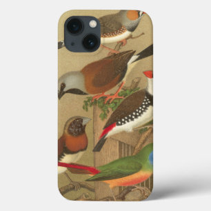iPhone 13 Case Cinq oiseaux de compagnie colorés perchés sur un