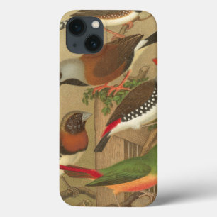 iPhone 13 Coque Cinq oiseaux de compagnie colorés perchés sur une