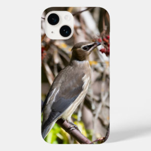Coque Pour iPhone 14 Cire-vent de Bohême, photographie aérienne canadie