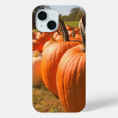 Coques Case-Mate iPhone Citrouille Harvest, Citrouille Patch Citrouilles (Verso)