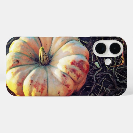 Coques Case-Mate iPhone Citrouille Rustique (Verso (horizontal))