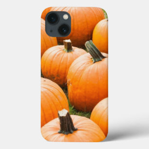 iPhone 13 Case Citrouilles à vendre au marché d'un agriculteur