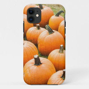 Case-Mate iPhone Case Citrouilles à vendre au marché d'un agriculteur