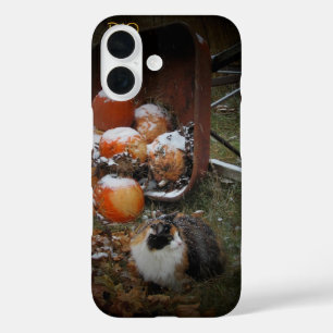 Coques iPhone 16 Citrouilles de récolte et Calico Cat
