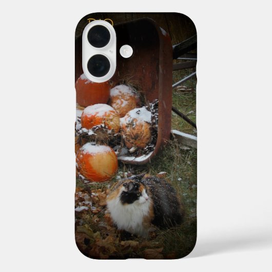 Coques Case-Mate iPhone Citrouilles de récolte et Calico Cat (Verso)