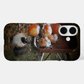 Coques Case-Mate iPhone Citrouilles de récolte et Calico Cat (Verso (horizontal))