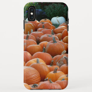 Case-Mate iPhone Case Citrouilles et Chrysanthèmes Photographie de la ré