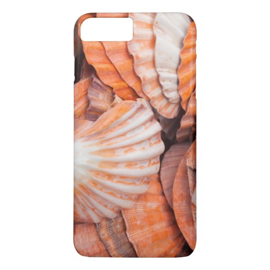 Coques Case-Mate iPhone Clés de Floride, Key West, coquillages (Dos)