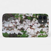 Coques Case-Mate iPhone Closeup des fleurs d'acacia (Dos (Horizontal))