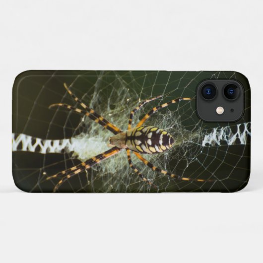 Coques Case-Mate iPhone Closeuse d'araignée jaune (Dos (Horizontal))