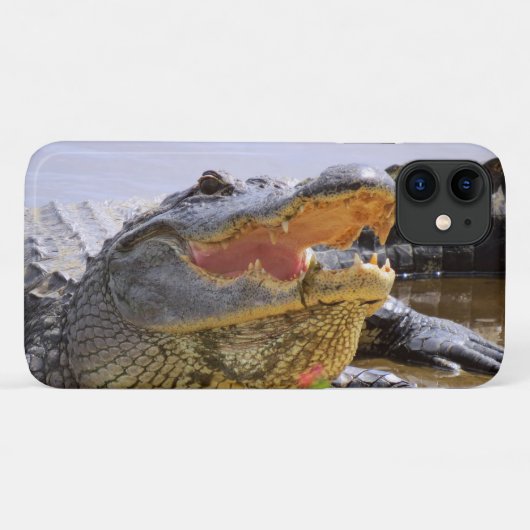 Coques Case-Mate iPhone Closeuse portrait Alligator (Dos (Horizontal))