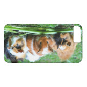 Coques Case-Mate iPhone Cobaye abyssinienne (Dos (Horizontal))