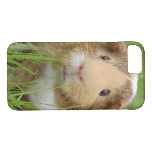 Coques Case-Mate iPhone Cobaye domestique mignon (Dos (Horizontal))