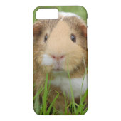 Coques Case-Mate iPhone Cobaye domestique mignon (Dos)