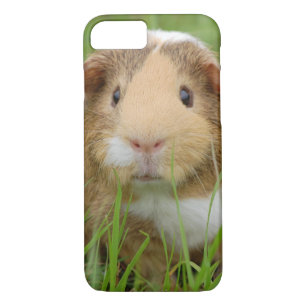Coques Pour iPhone Cobaye domestique mignon