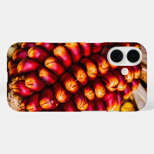 Coques Case-Mate iPhone Cobs de maïs (Verso (horizontal))