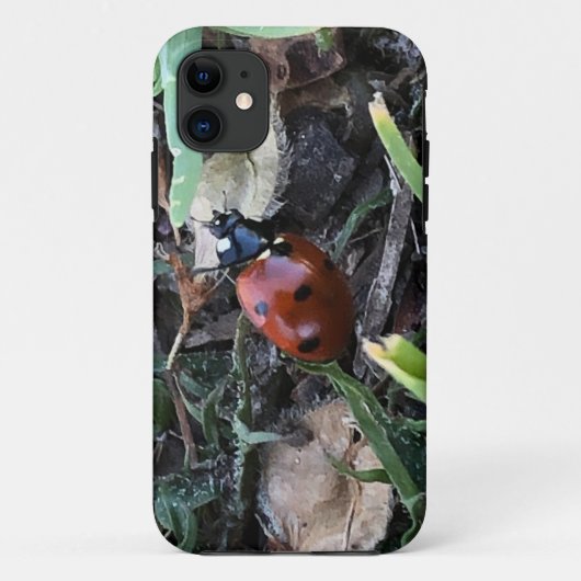 Coques Case-Mate iPhone Coccinelle (Dos)