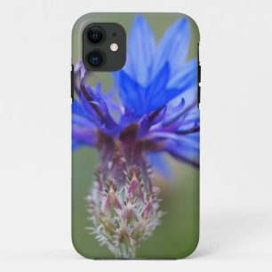 Etui iPhone Case-Mate Coccinelle Fleurs Bleues Art Amour Destinée Vigne
