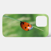 Coques Case-Mate iPhone Coccinelle sur une brin d'herbe (Verso (horizontal))