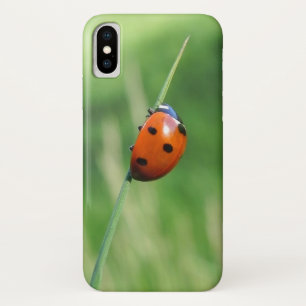 Coque Case-Mate Pour iPhone Coccinelle sur une brin d'herbe