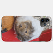 Coques Case-Mate iPhone Cochon de Guinée dans une cage (Dos (Horizontal))