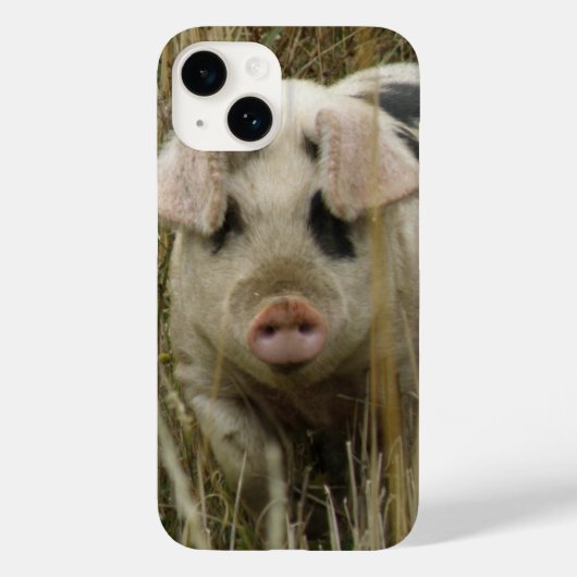 Coques Case-Mate iPhone Cochon mignon (Verso)