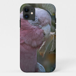 Case-Mate iPhone Case Cockatoo à poitrine Rose