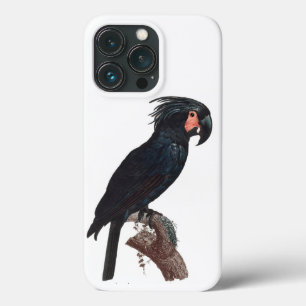 Case-Mate iPhone Case Cockatoo de palme, perroquet de probosciger
