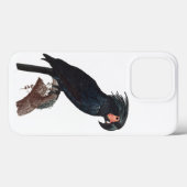 Coques Case-Mate iPhone Cockatoo de palme, perroquet de probosciger (Verso (horizontal))