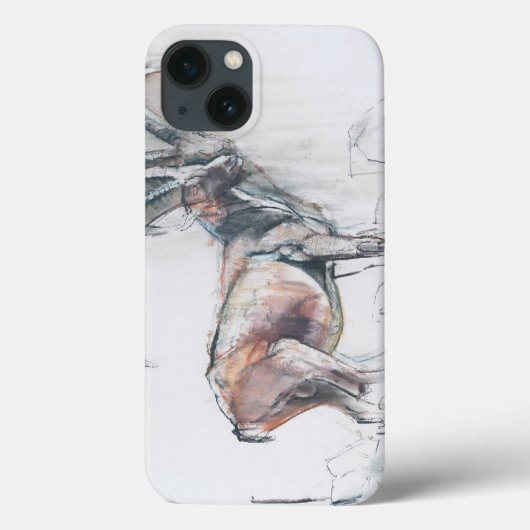 Coques Case-Mate iPhone Col di Vermianaz (Verso)