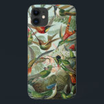 Case-Mate iPhone Case Colibri<br><div class="desc">Colibri (Trochilidae) de Haeckel Coque. Illustration d'une plaque de couleur de Kunstformen der Natur (1899) d'Ernst Haeckel,  montrant une variété de colibris.</div>