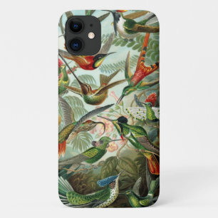 Case-Mate iPhone Case Colibri