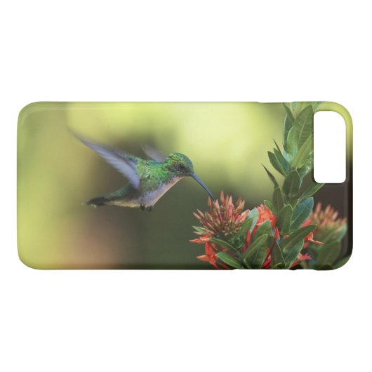 Coques Case-Mate iPhone Colibri (Dos (Horizontal))